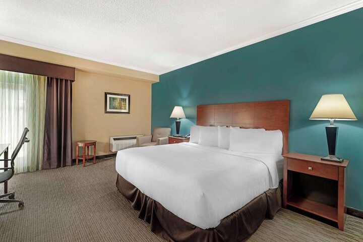 1 King Bed Accessible (50 of 54)