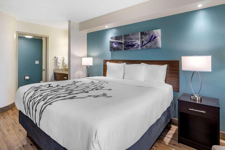 1 King Bed (9 of 10)
