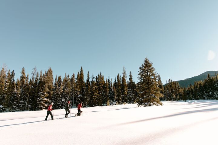 Snow and ski sports