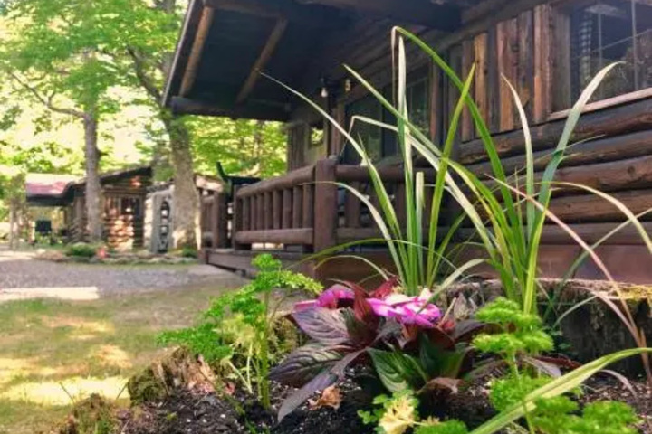 Rustic Log Cabins