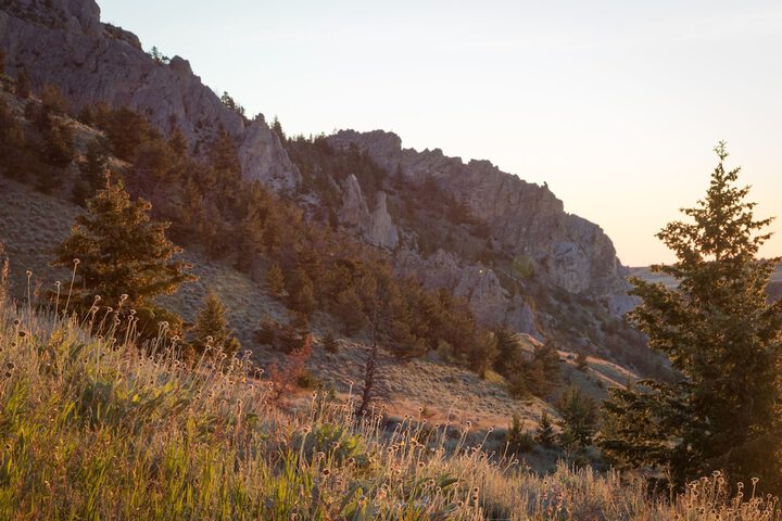 Property Grounds 27 of 39