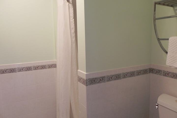Deluxe Room 1 King Bed Accessible Bathtub (1 of 22)