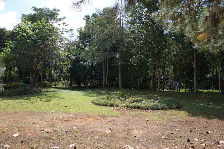 Property Grounds 25 of 37