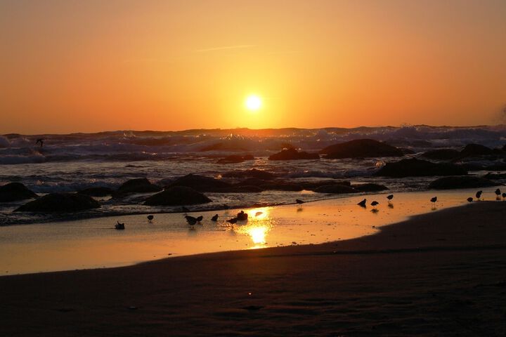 Beach