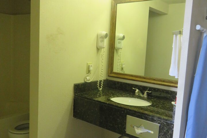 1 King Bed Mobility Accessible Roll in Shower (2 of 26)