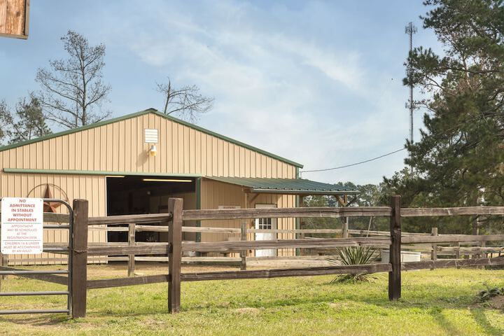 Horseback riding