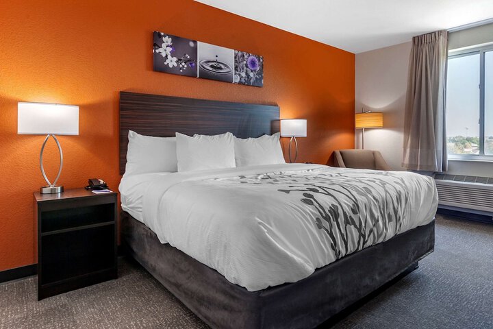 1 King Bed Accessible (13 of 14)