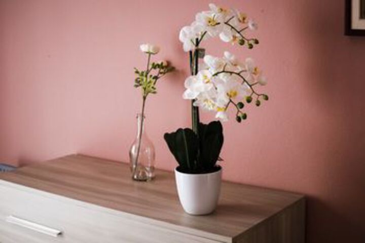 Room 14 of 29