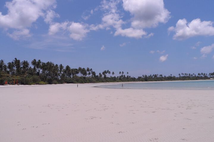 Beach 85 of 113