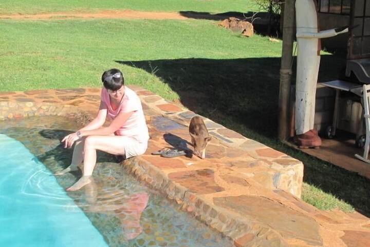 Pool to Cool