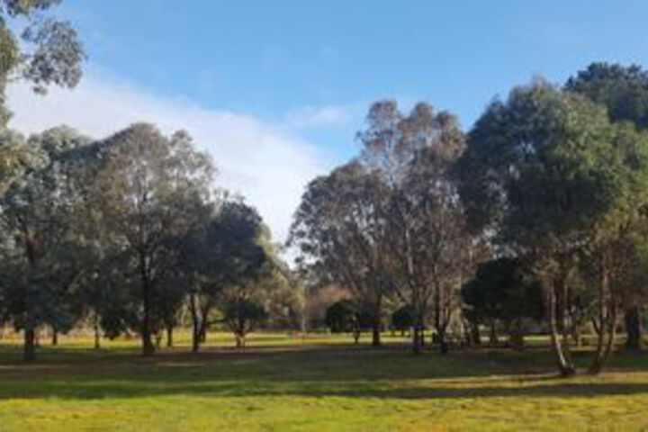 Property Grounds 17 of 19