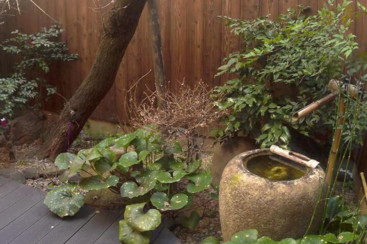 Photo 29