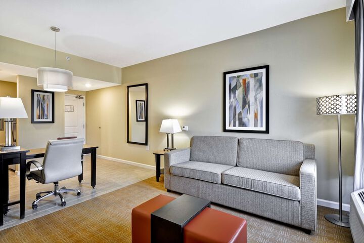 1 King Bed Studio Suite (6 of 19)