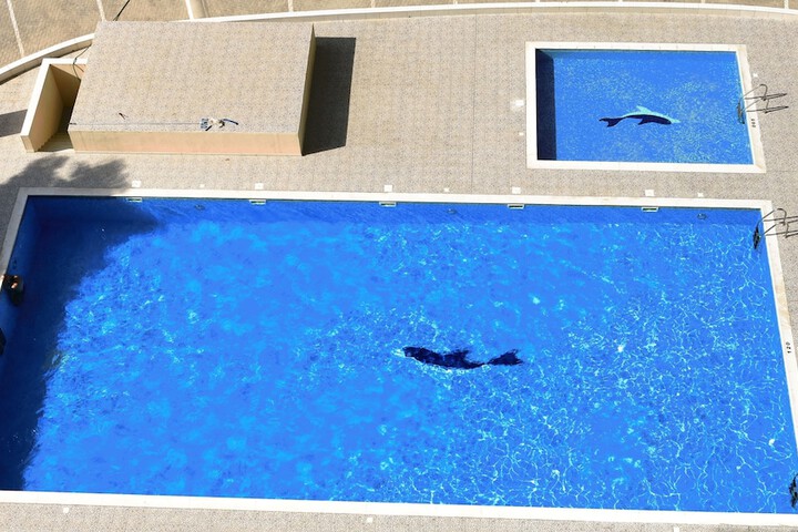 Hotel Pool
