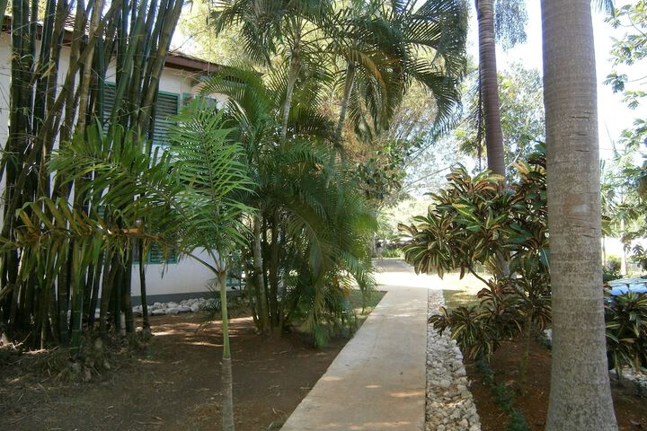 Property Grounds 17 of 32