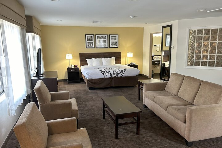 1 King Bed (14 of 21)