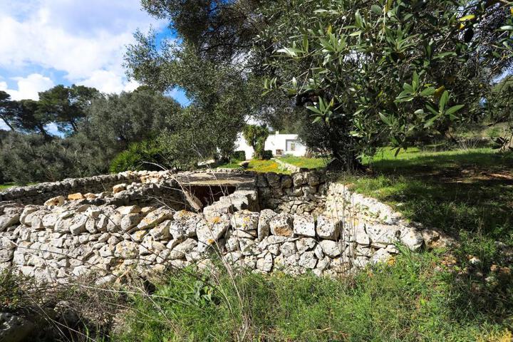 General 83 of 100