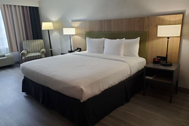 1 King Bed (2 of 17)