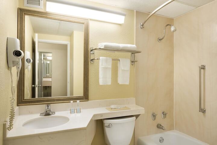 1 Queen Bed Accessible Room (6 of 8)