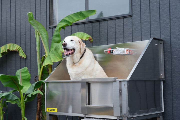 Pet Friendly 26 of 32