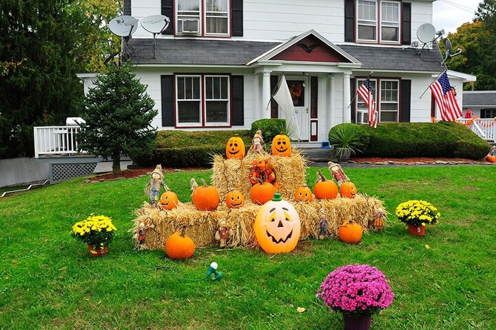 Property Grounds 36 of 49