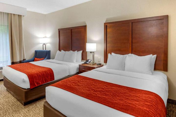 2 Queen Beds (1 of 14)