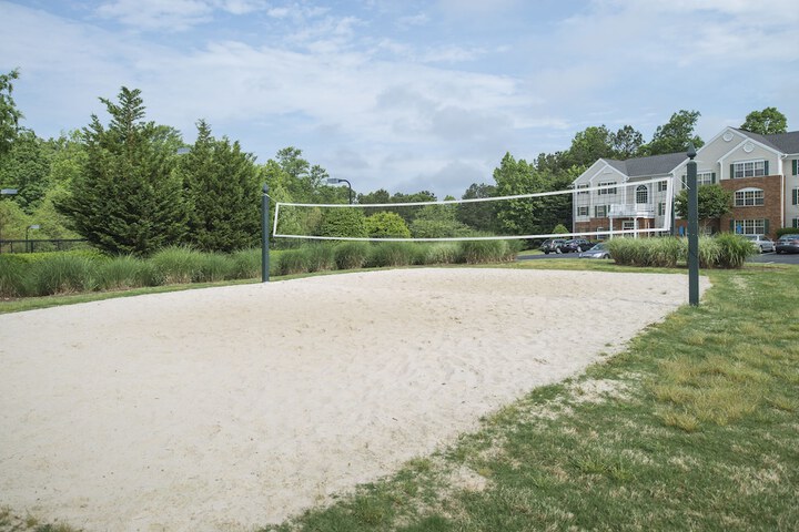 Sport court