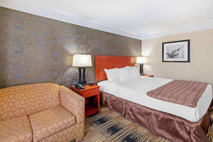 1 King Bed Table and Chairs Refrigerator, Continental Breakfast (1 of 14)
