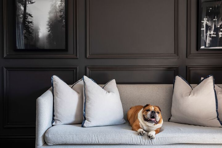 Pet Friendly 62 of 121