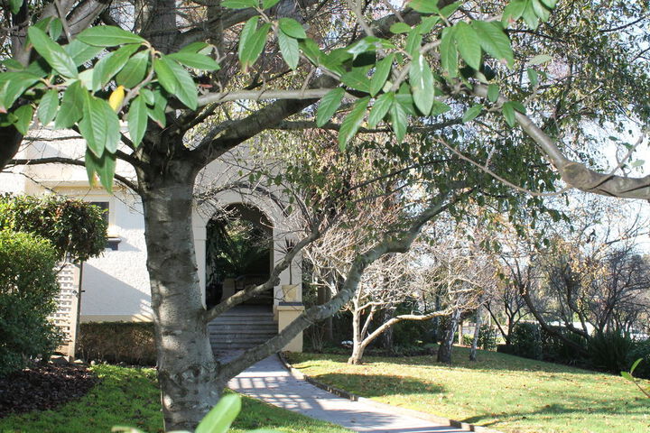 Property Grounds 25 of 27