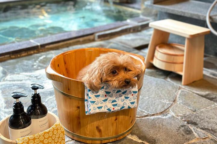 Doggys Izujogasaki