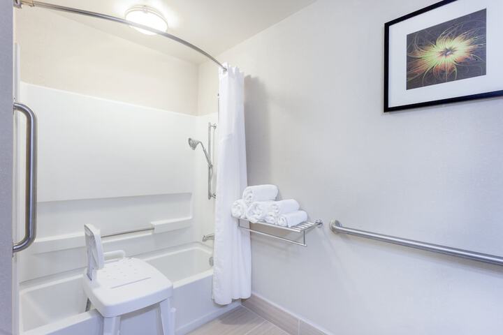1 King Bed Standard Mobility Accessible Tub (3 of 11)
