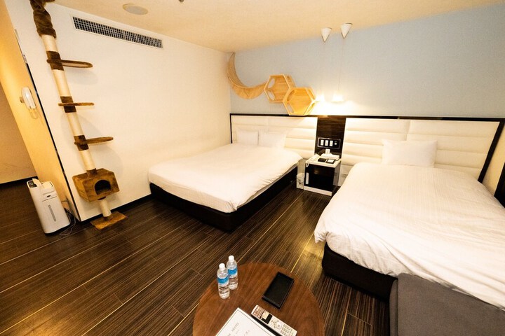 Room 65 of 239