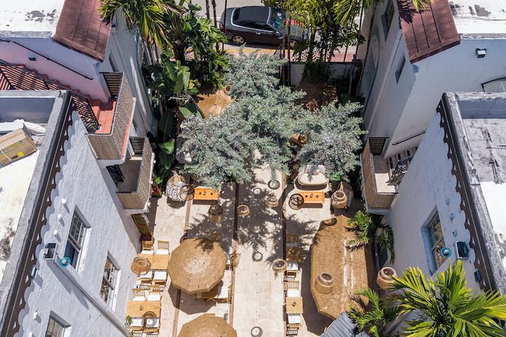 Garden view