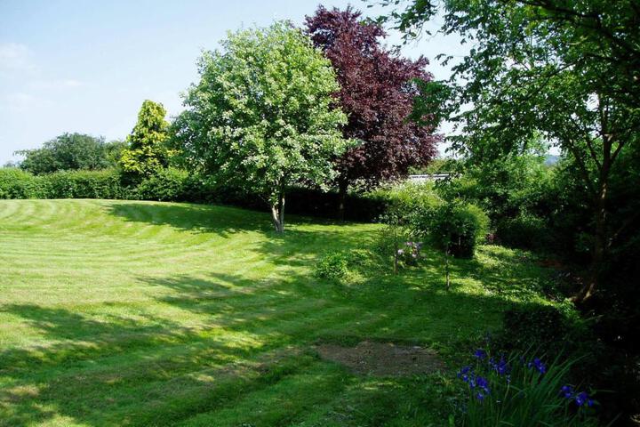 Photo 25