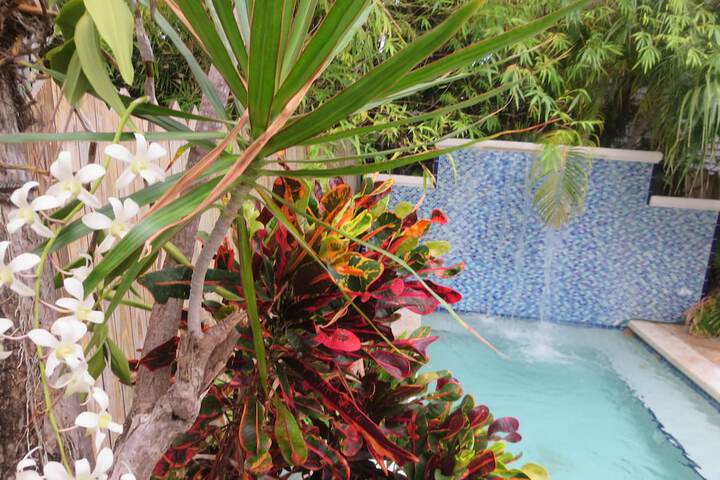Pool 33 of 47