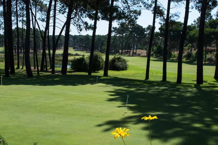 Golf 35 of 64