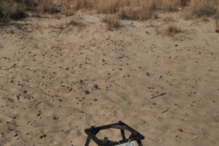 Beach 31 of 41