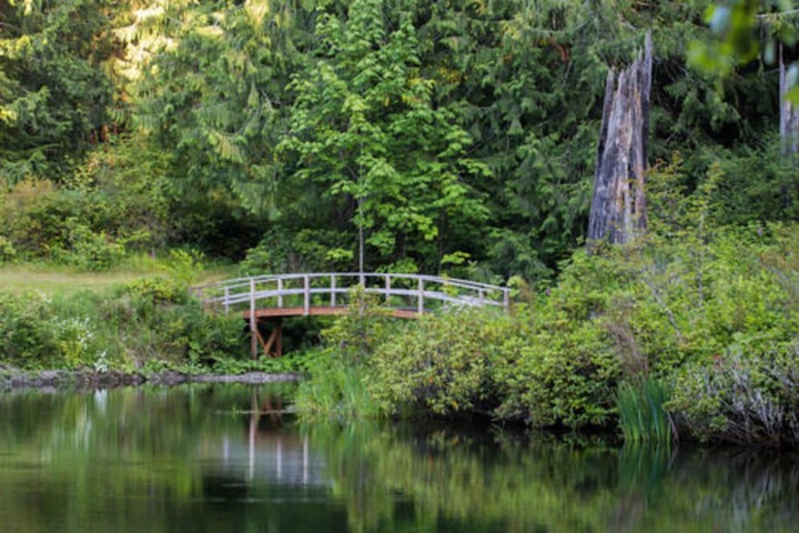 Property Grounds 54 of 58