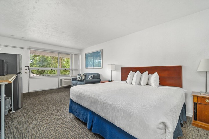 1 King Bed Ground Floor (10 of 16)