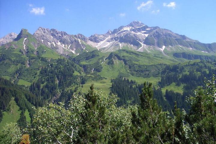Photo 20