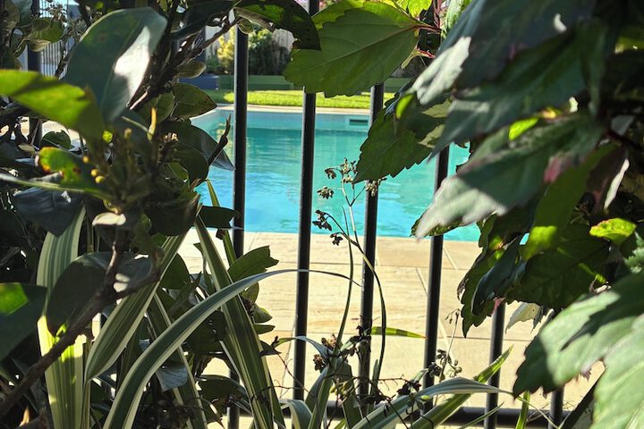 Pool 51 of 68