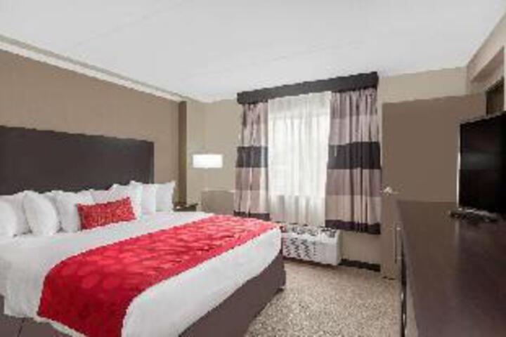 Suite 1 King Bed (2 of 16)