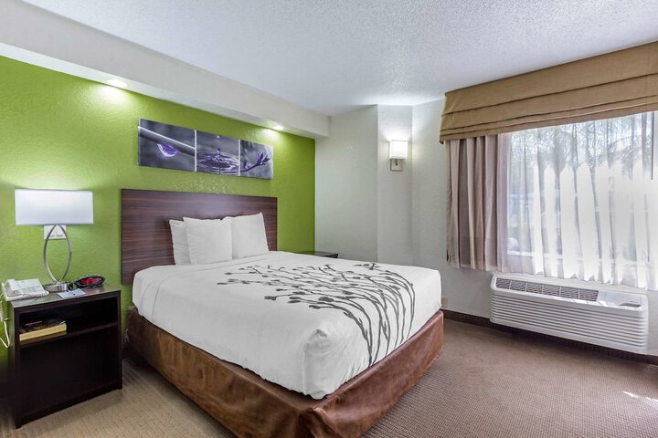 Standard | King Bed (8 of 16)