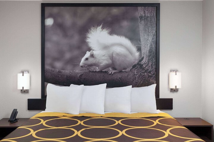 1 King Bed (7 of 17)