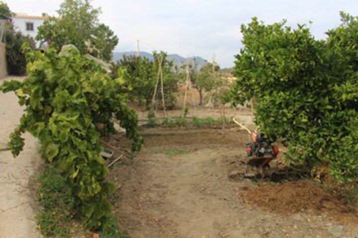 Property Grounds 12 of 23
