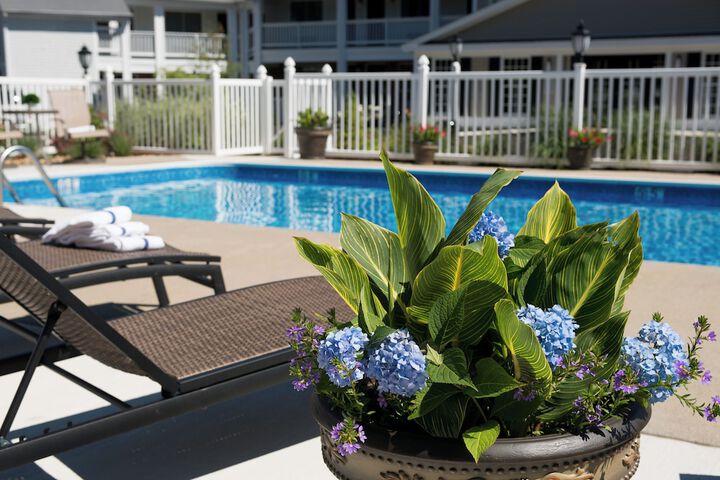 Hotel Pool