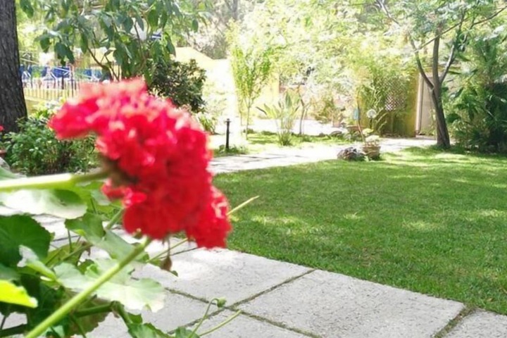 Property Grounds 39 of 47