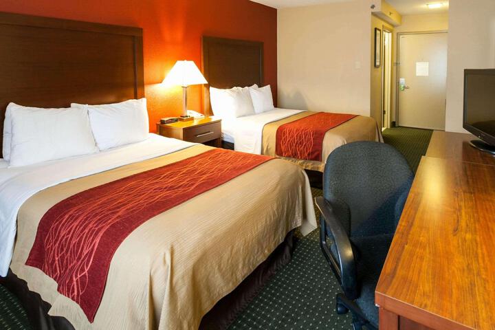 Standard Room, King or Two Doubles (1 of 8)