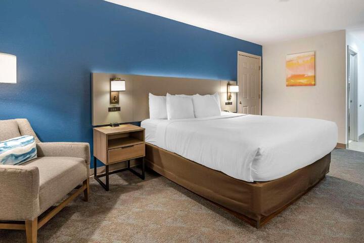 1 King Bed (14 of 17)